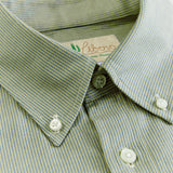 Striscia Verde